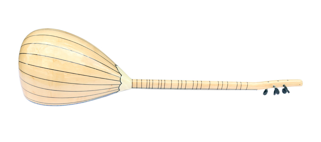 Dest long neck electric saz baglama L2 for stage