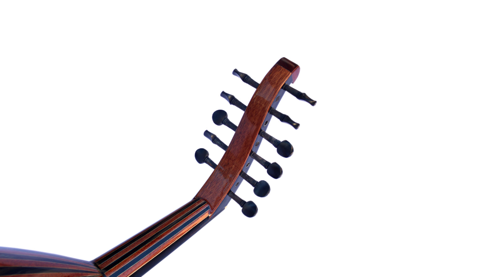 Walnut Turkish oud AO-109 by Sala