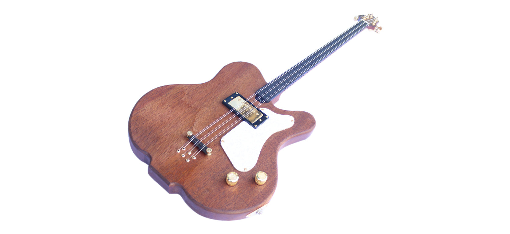 Sala Muzik caglama professionnel CAG-4 hybride électrique