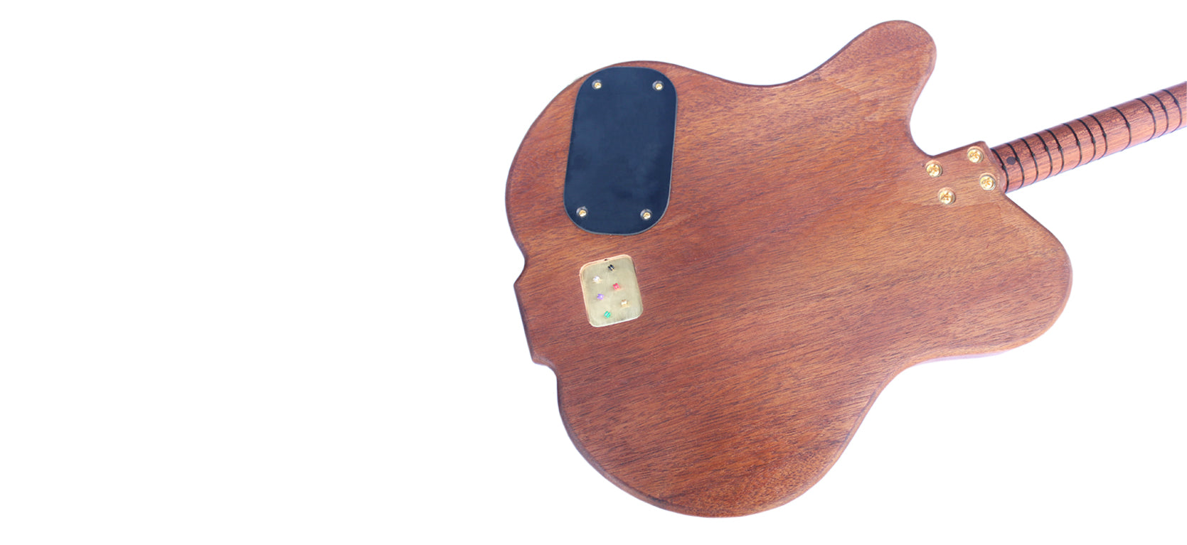 Sala Muzik caglama professionnel CAG-4 hybride électrique