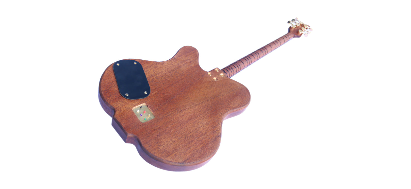 Sala Muzik caglama professionnel CAG-4 hybride électrique
