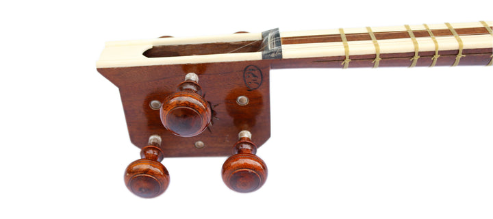 Delnavaz tar DPT-305 stringed Persian instrument mulberry soundboard