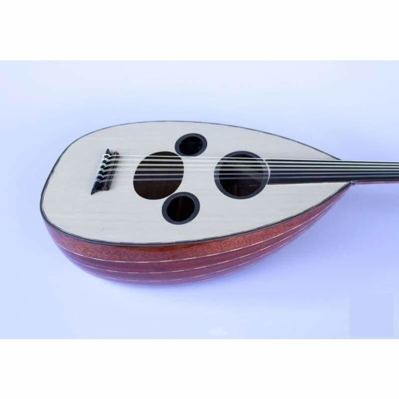 Professional Arabic electric oud AAOK-301G with Pyramid 650/11 strings