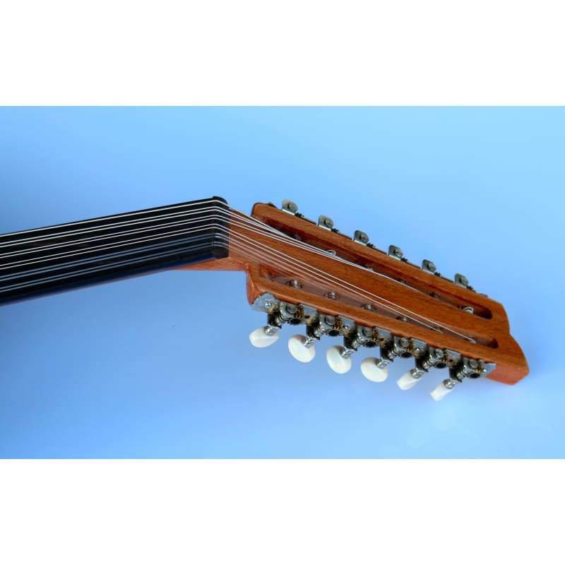 Professional Turkish electric oud AOH-302G with built-in pickup system